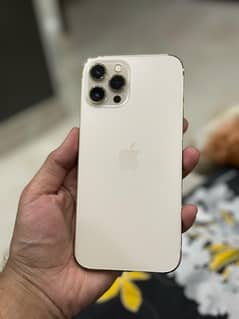 IPhone 12 pro max PTA Approved