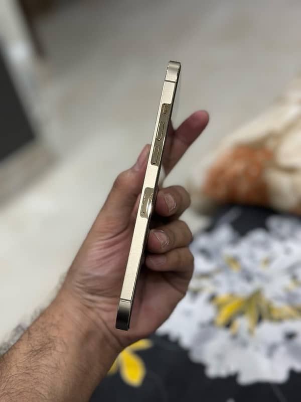 IPhone 12 pro max PTA Approved 2