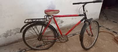 urgent cycle for sale