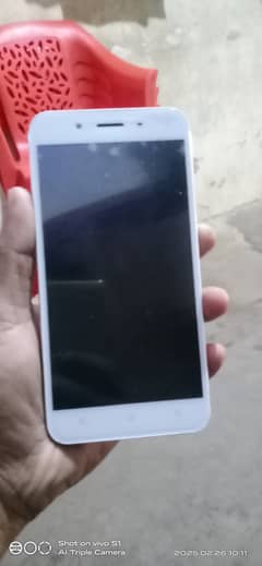 Vivo Good condition.