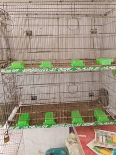 flying cage for sale