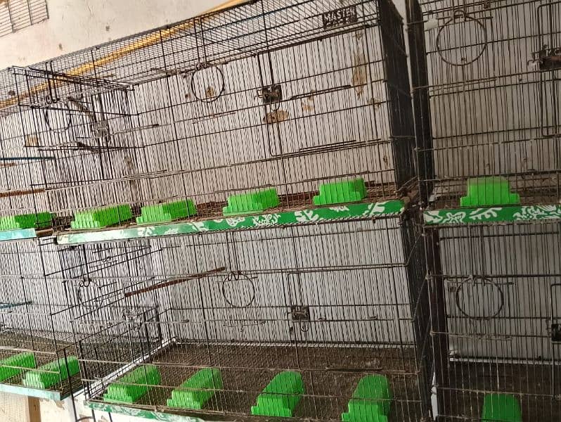 flying cage for sale 2