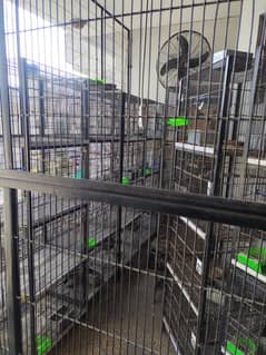 Birds Cages For Sale