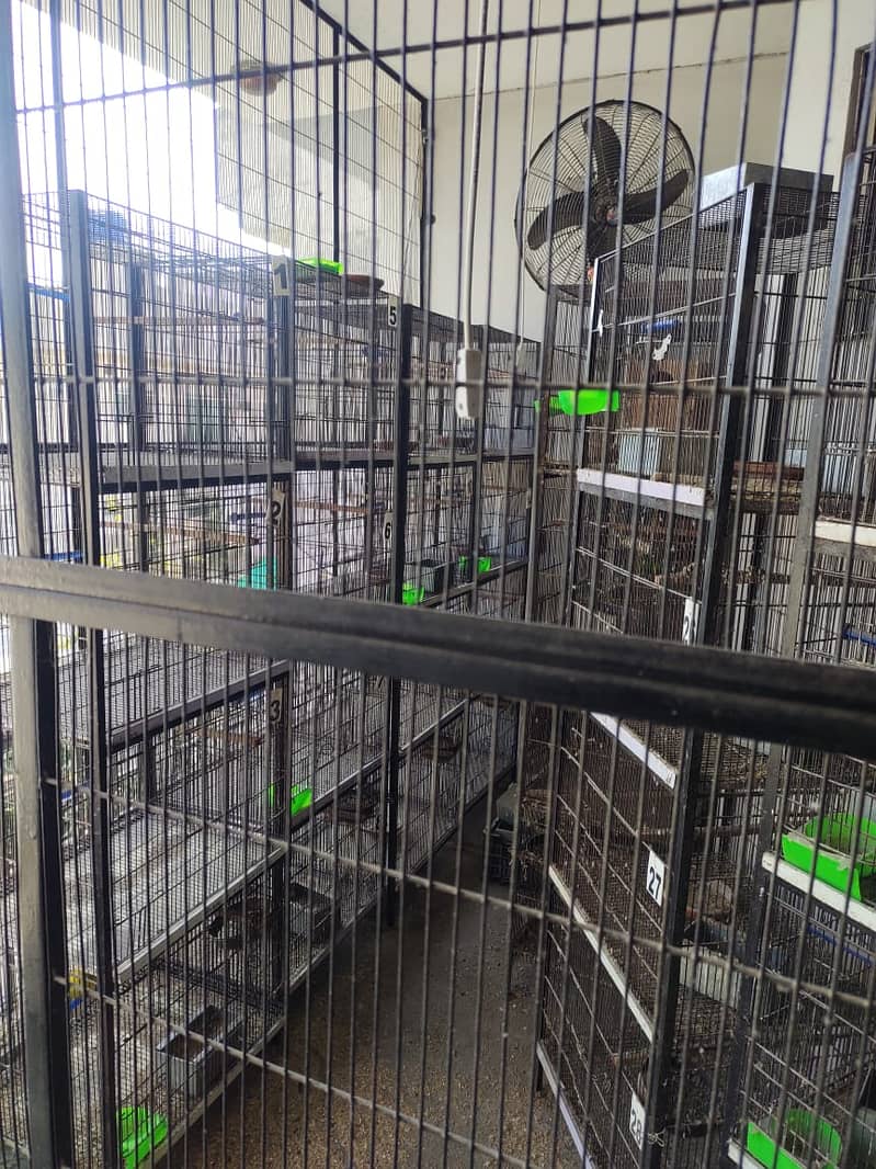 Birds Cages For Sale 0