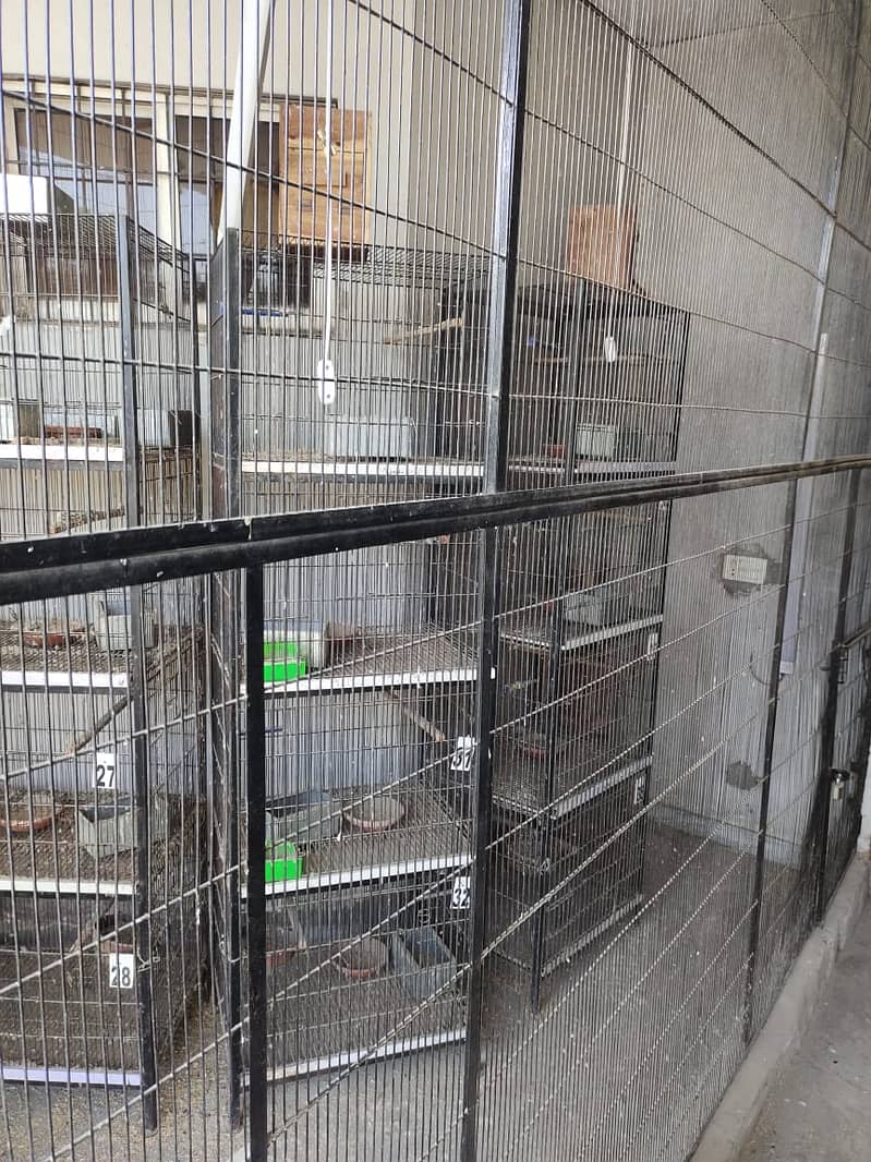 Birds Cages For Sale 1