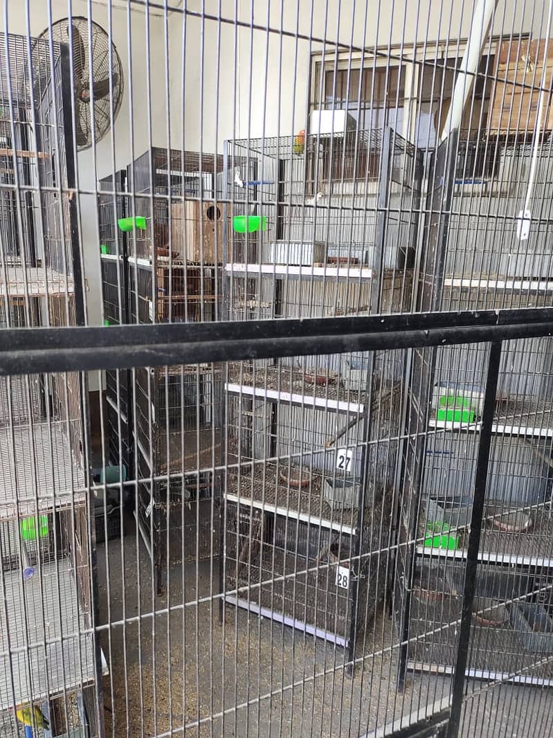 Birds Cages For Sale 2