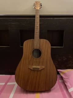 Fender Guitar