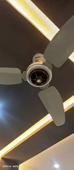 Ceiling Fan for Sale