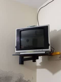 Television