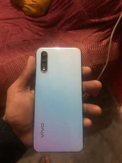 vivo