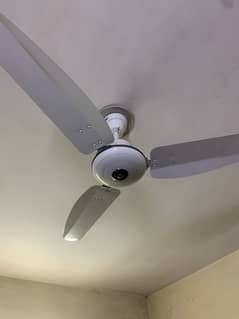 Urgent sale of ceiling fans