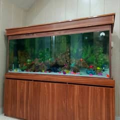 aquarium making and services