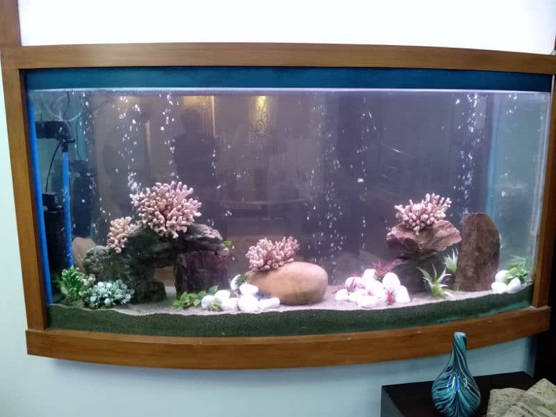 aquarium making and services 2