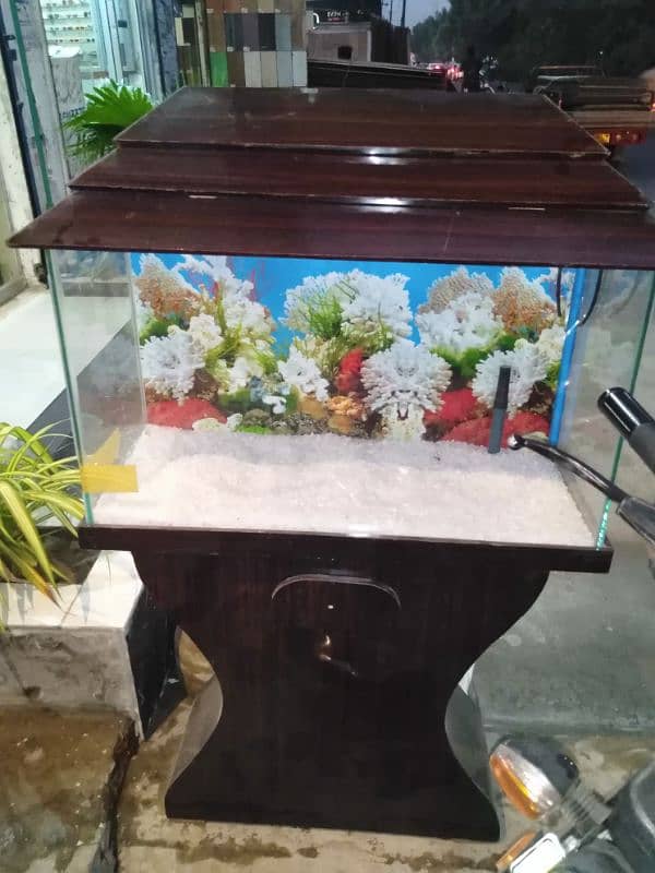 aquarium making and services 3