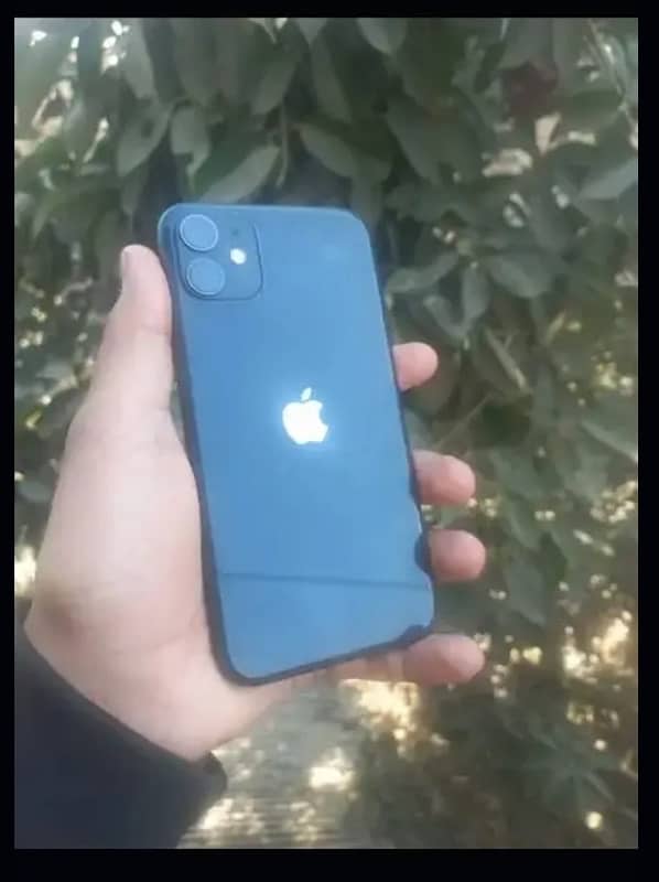 IPhone 11 water pack (urgent) 0