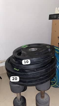 Weights & Olympic Barbell for Sale