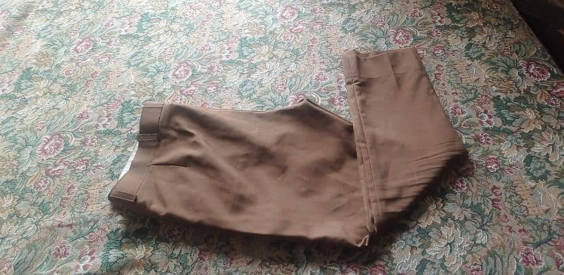 pant coat camel colour 0