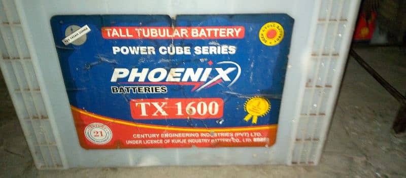 Phoenix tall tubler battery 1