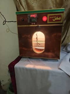 Incubator for sale