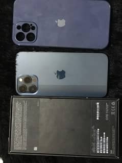 Apple iPhone 12 Pro Max Dual PTA Approved