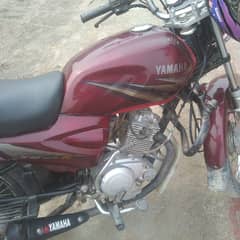 urgent sale Yamaha ybz