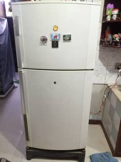 Dawlance No Frost Large Size Refrigerator in Excellent condition.