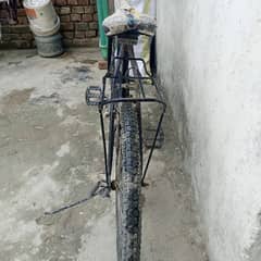 Perfect bicycle