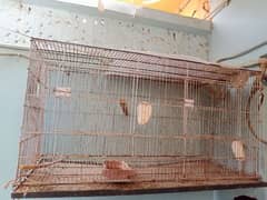 cage for sell