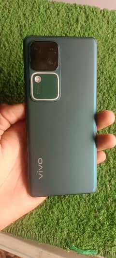 vivo