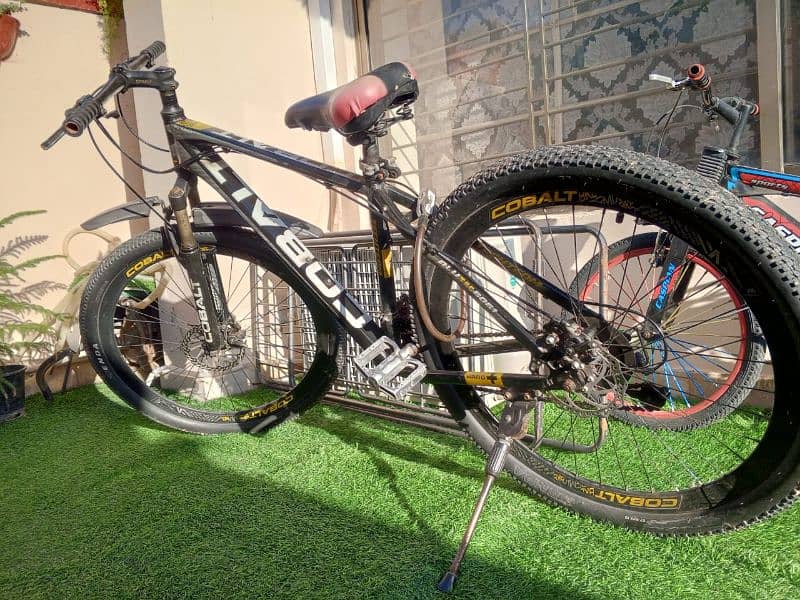Mountain/Racing Cycle 2