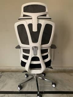 Ergonomic Chair with Lumbar Support