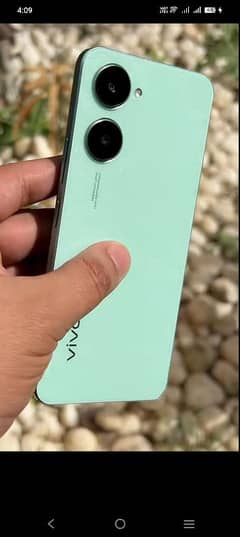 vivo