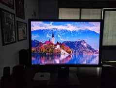 Dell 24 inch led