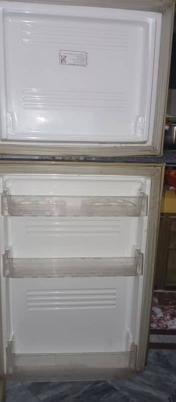 PEL Refrigerator 4