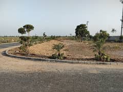 20 Marla Plot For Sale At 75ft Road