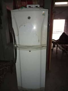 Pel fridge for sale