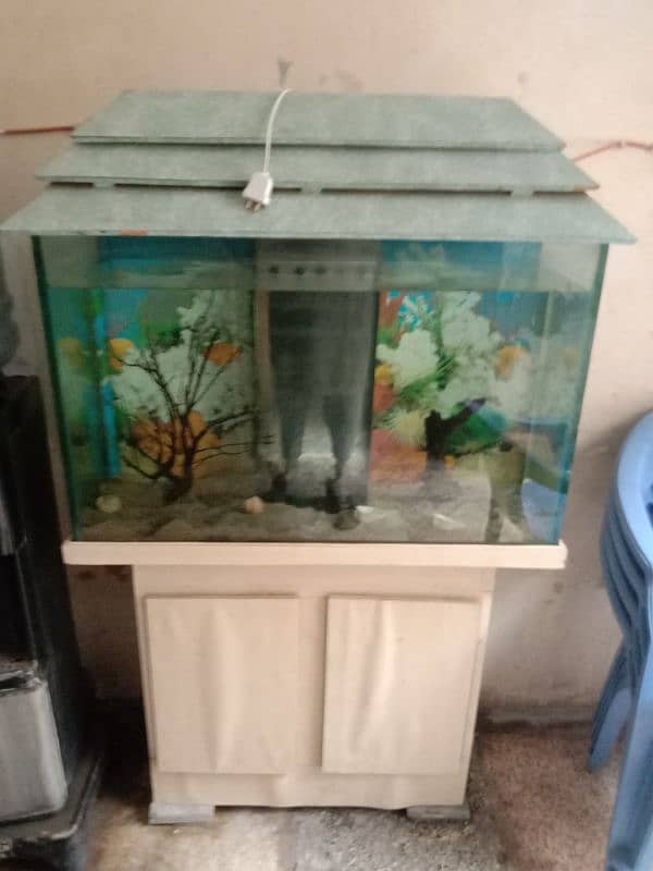 fish aquarium 0