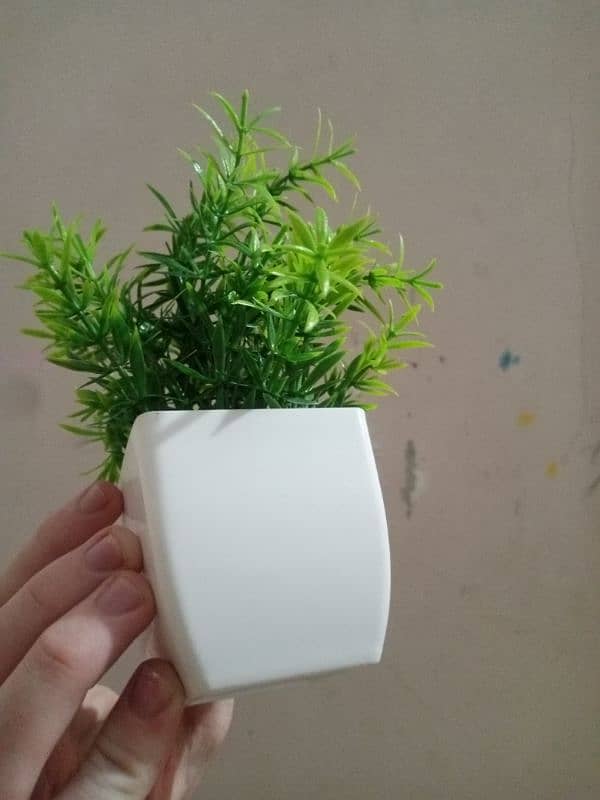 پلاسٹک کا بنا ہوا گملہ چھوٹا پودا   small plant made by plastic 1