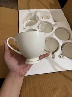 China bone Tea set