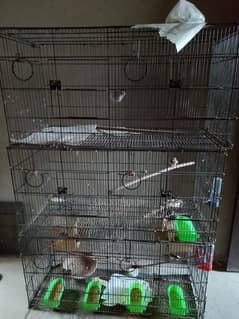 5 Folding Box cage or iske Sat Birds for sale perfect