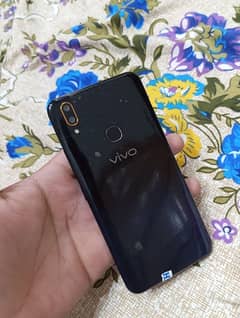 Vivo