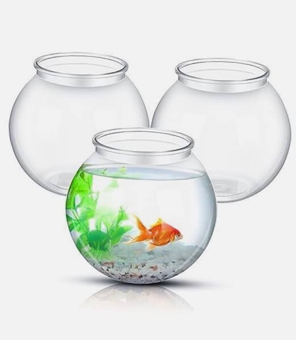 fish bowls (new) 0