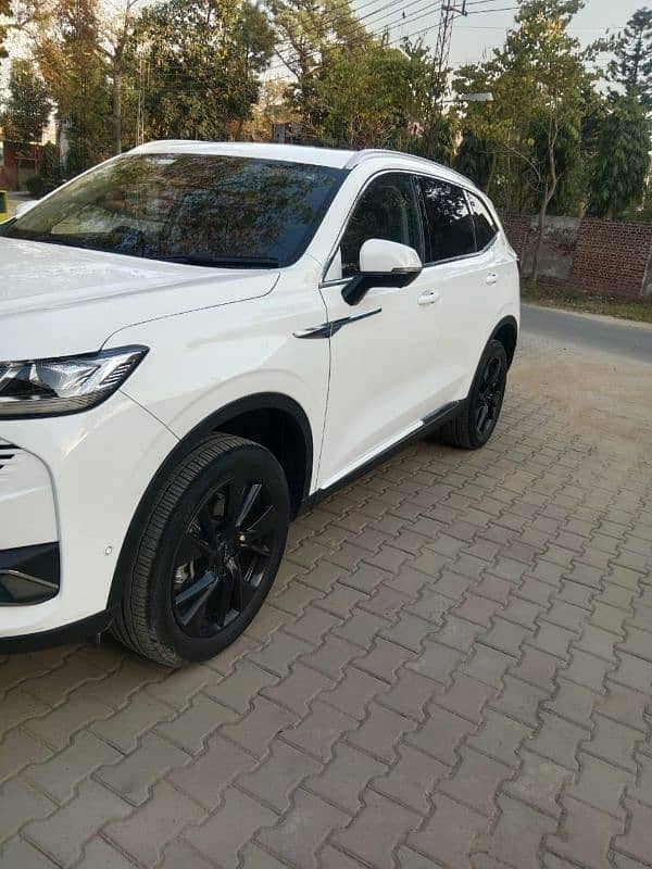 Haval H6 2024 1