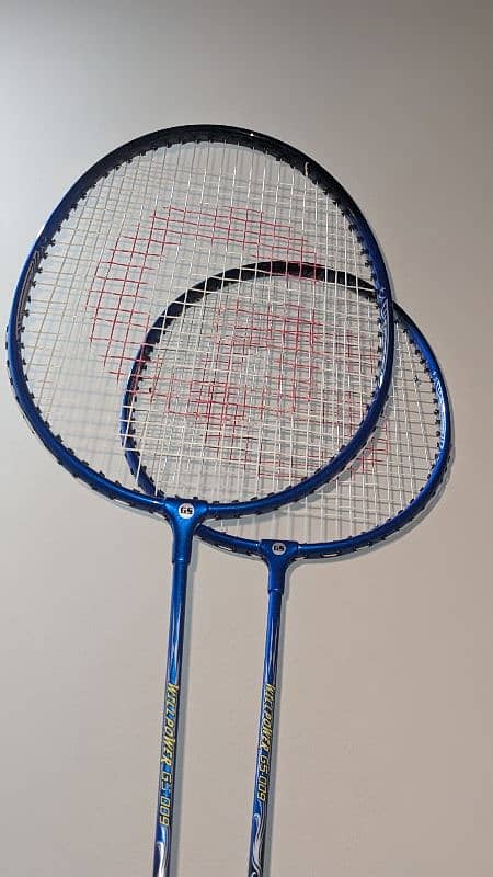 dual rackets 0