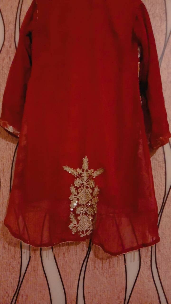 Gharara dress 4