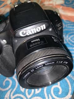 canon 50mm stm lens