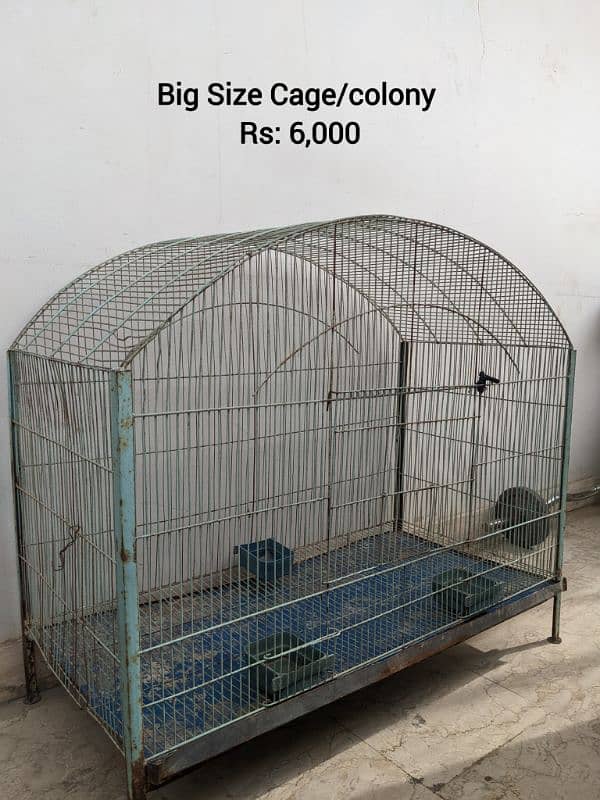 Birds/ chickens cage for sale bilkul okay hain saray 0