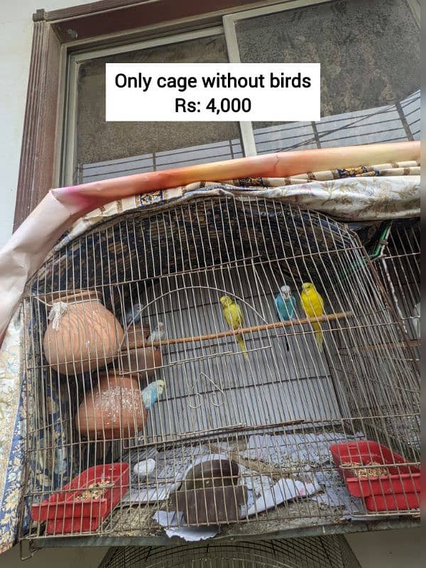 Birds/ chickens cage for sale bilkul okay hain saray 4