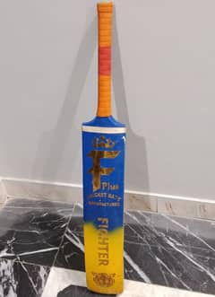 F plus cricket bat