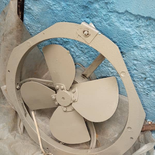 egzoshe fan 2